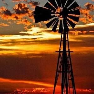 Meet your Posher, Joyce